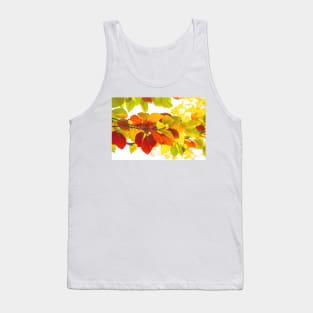 Colourful leaves on a white background Tank Top